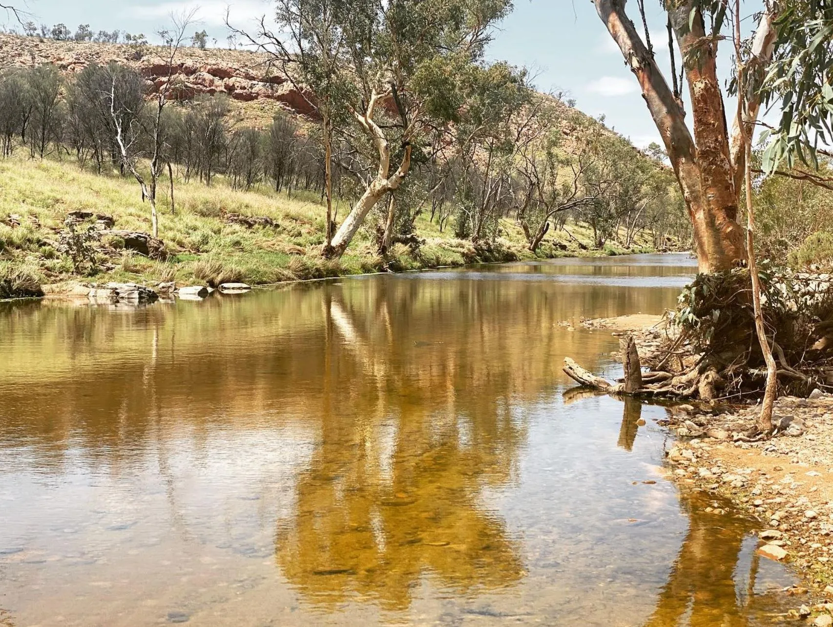 A Hidden Oasis, Birthday Waterhole