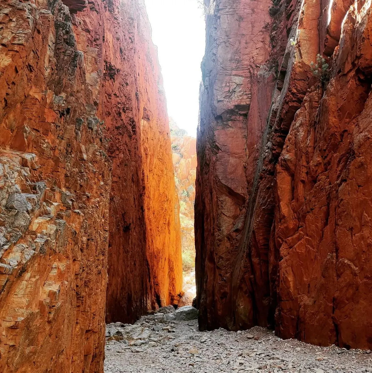 A Hidden World Beneath, Standley Chasm