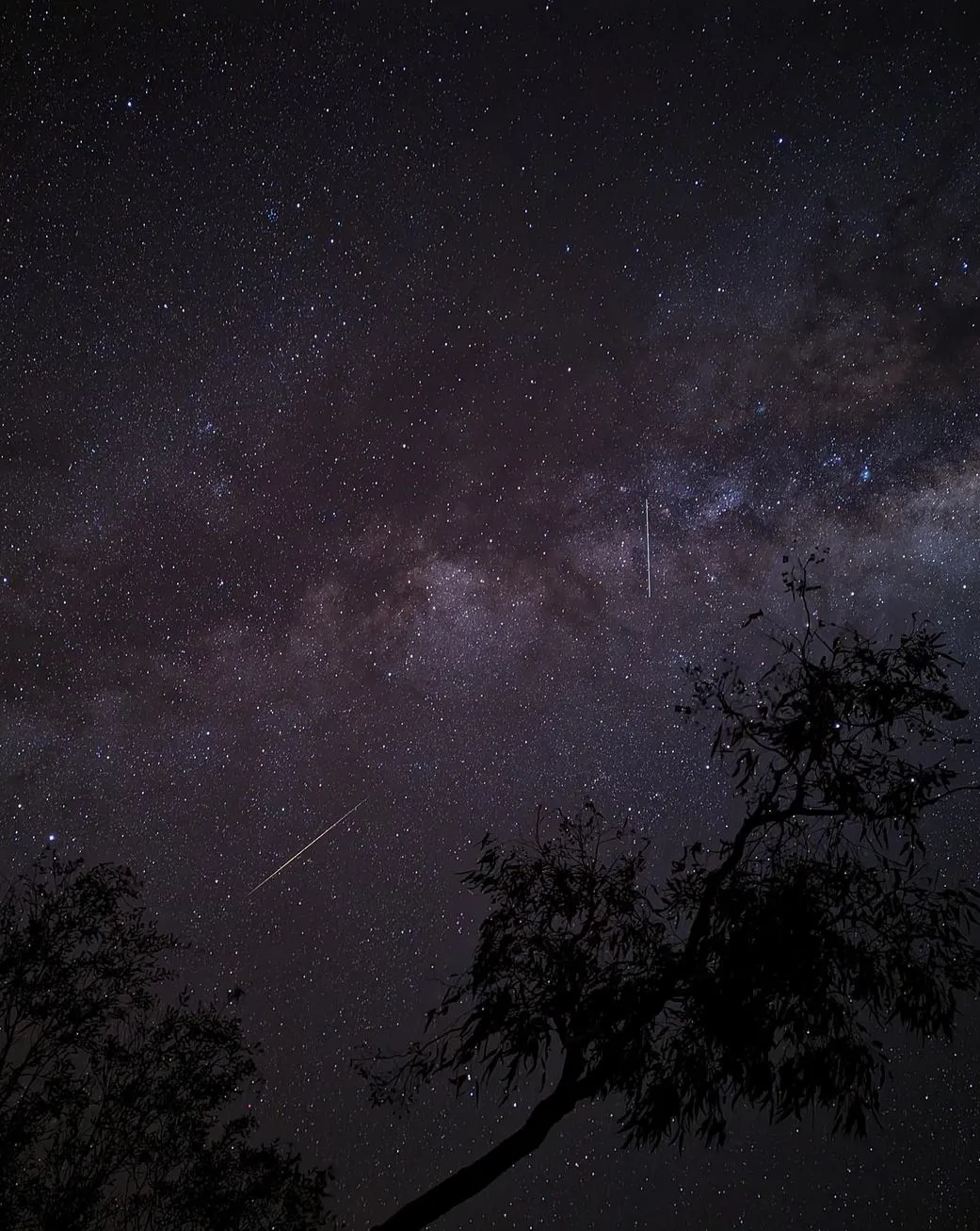A Starry Show