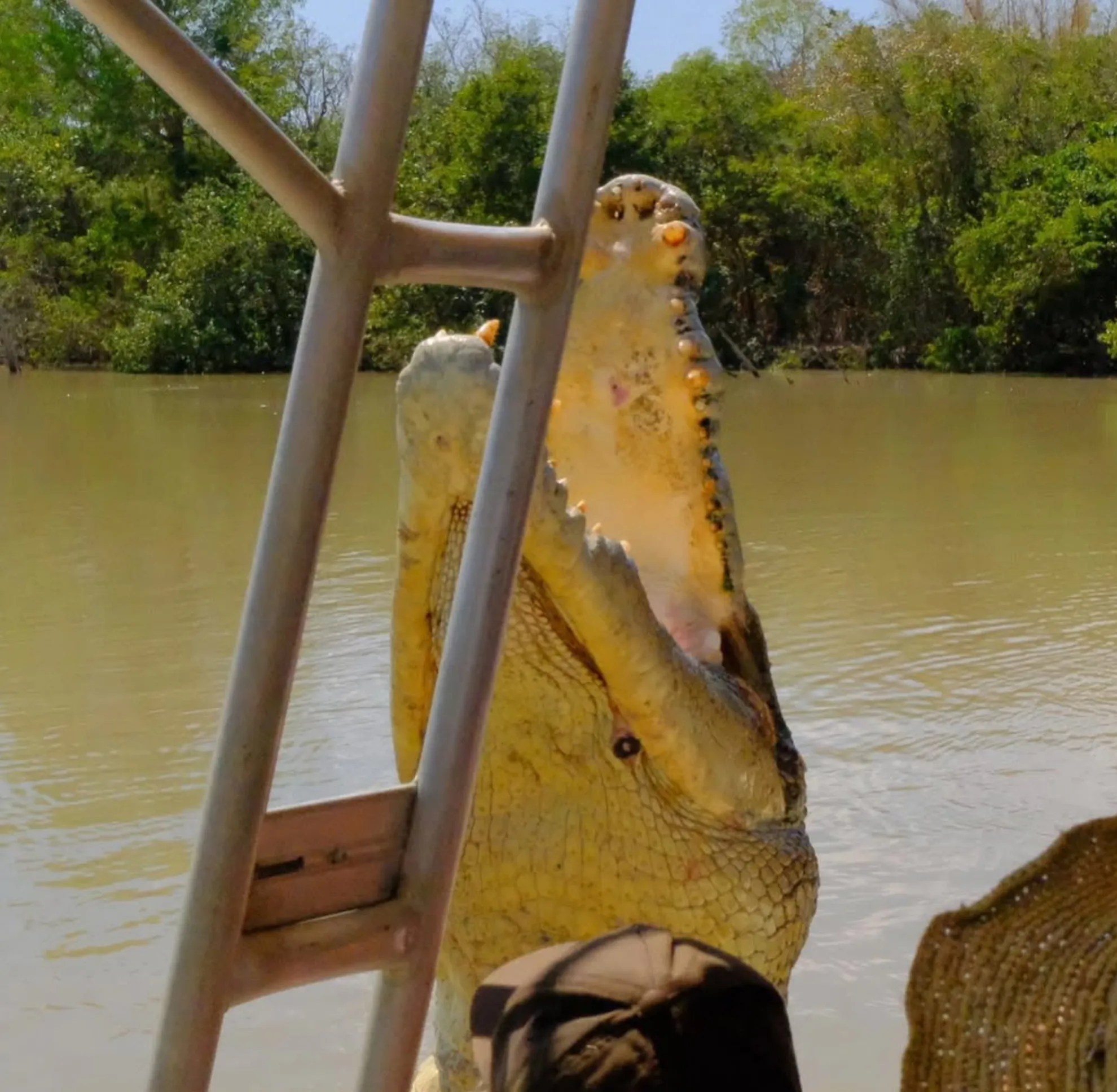 Adelaide River jumping crocodile experience