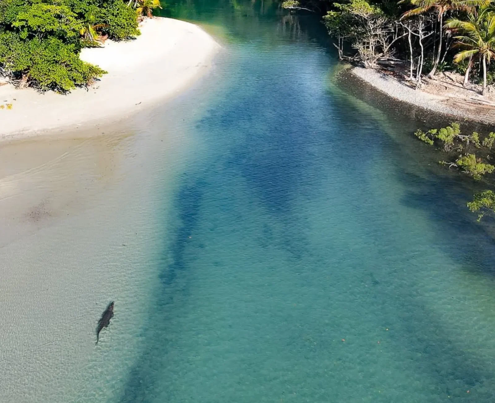 Adelaide River vs Crocosaurus Cove