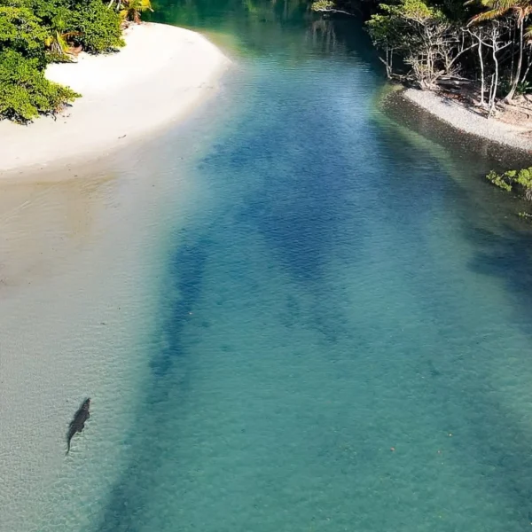 Adelaide River vs Crocosaurus Cove