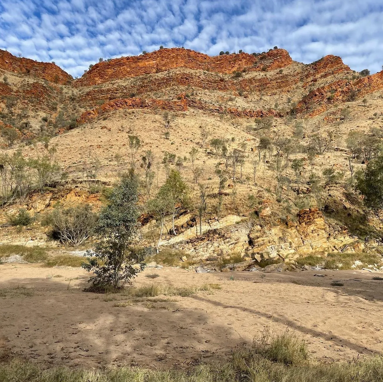 Arrernte Country