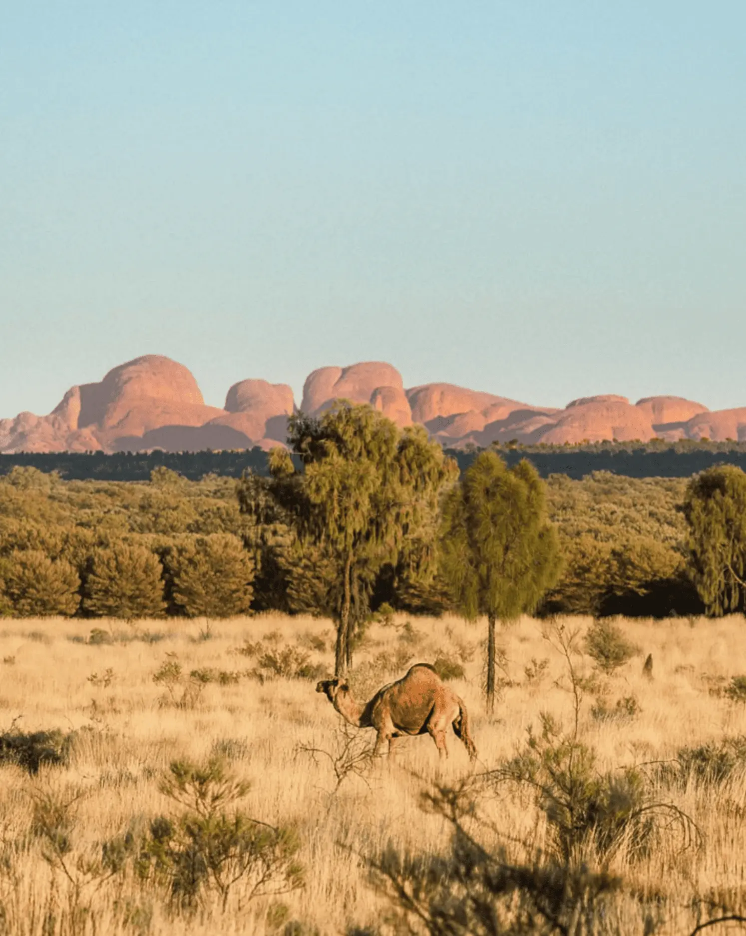 Before You Photograph Kata Tjuta