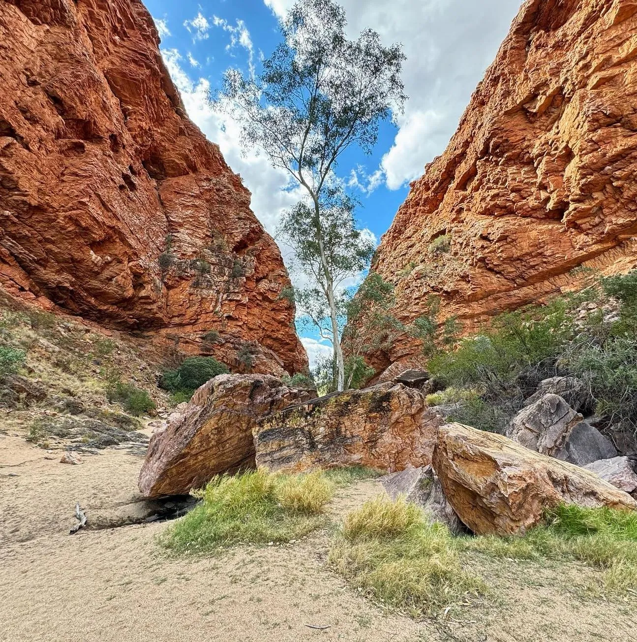 Best Short Hikes on the Larapinta Trail