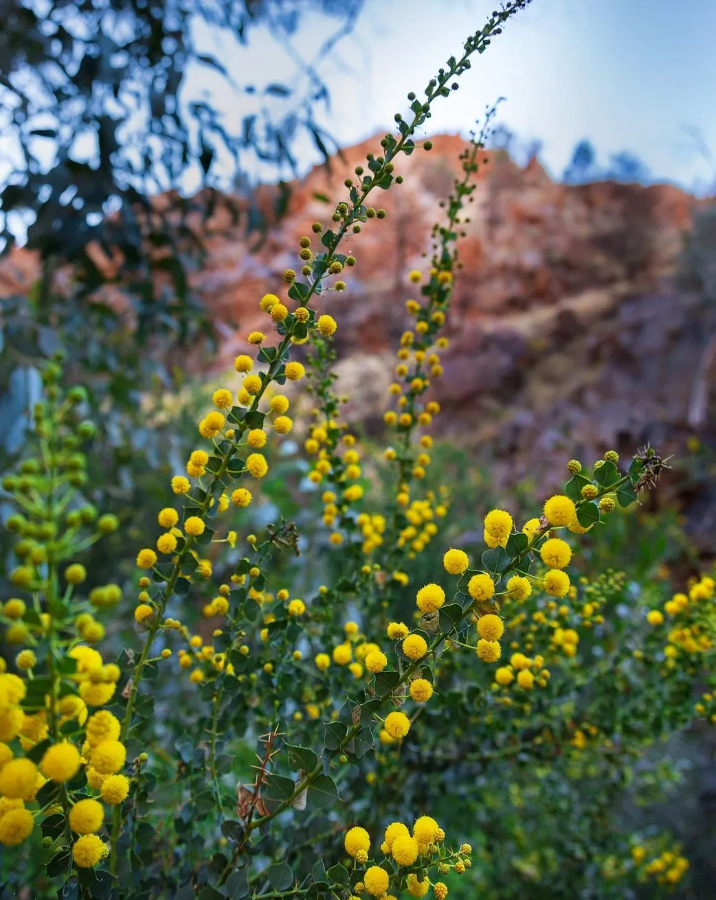 Best Time to Visit, Standley Chasm