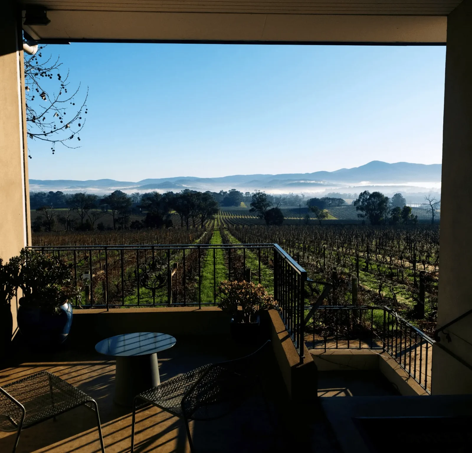 Best ‘Hidden Gem’ Wineries Away From The Coldstream:Healesville Crowds?
