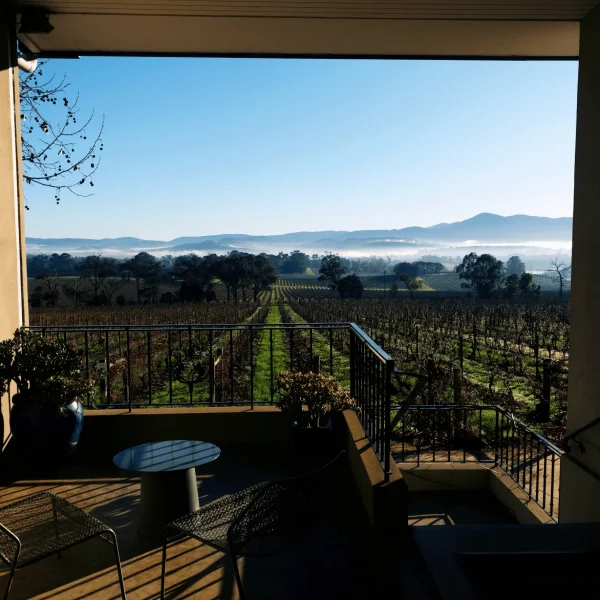 Best ‘Hidden Gem’ Wineries Away From The Coldstream:Healesville Crowds?