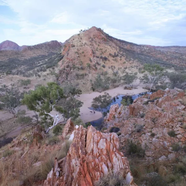 Birthday Waterhole, Larapinta Trail