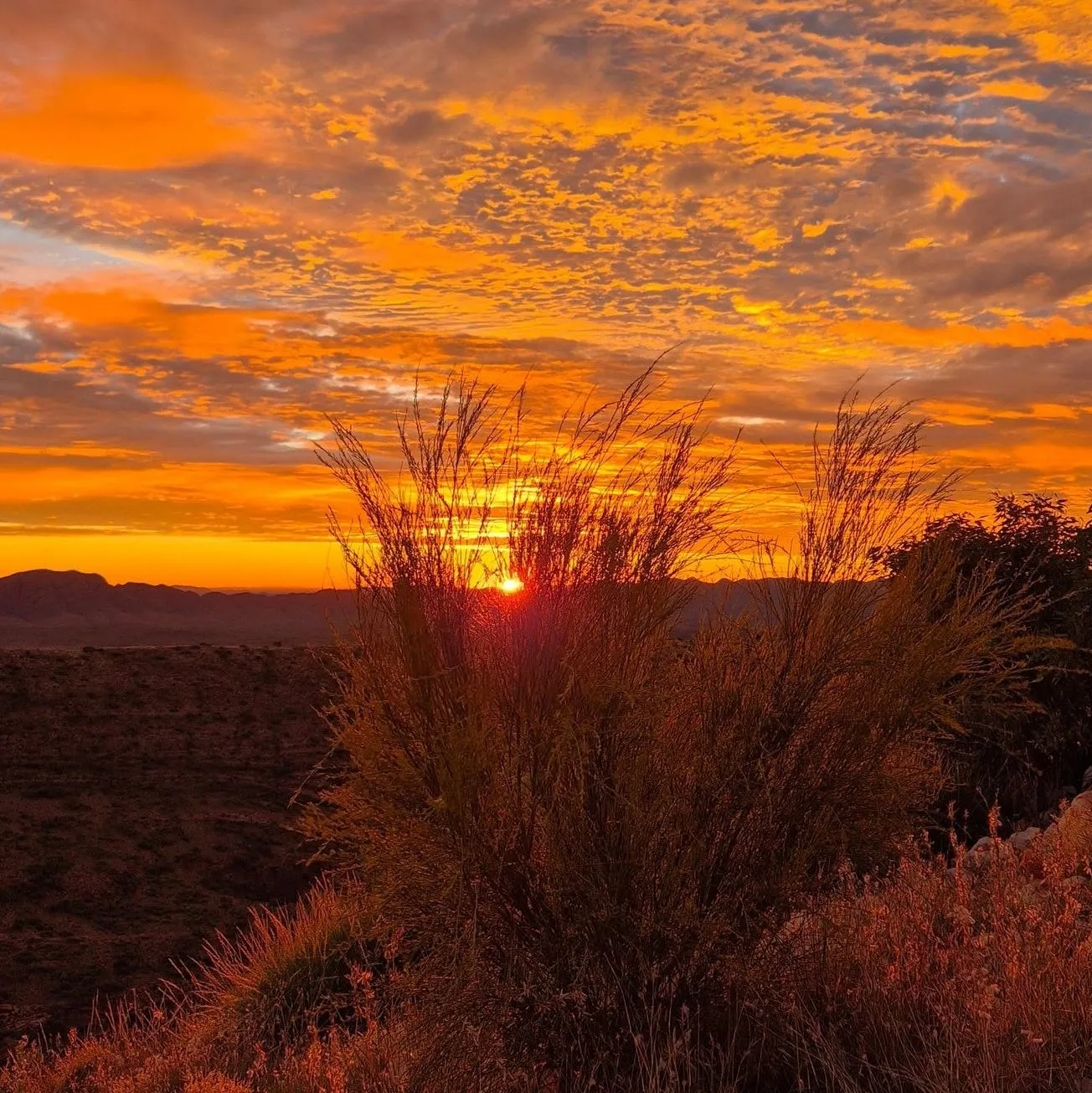 Bookings, Parks Pass, Trail Pass, Campsites
