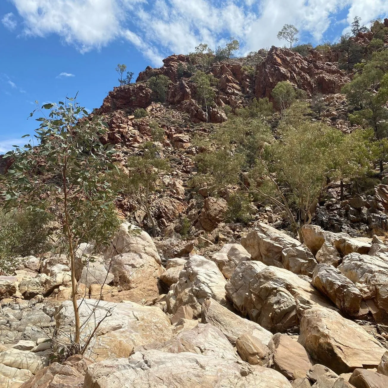 Challenging Itineraries, Larapinta Trail