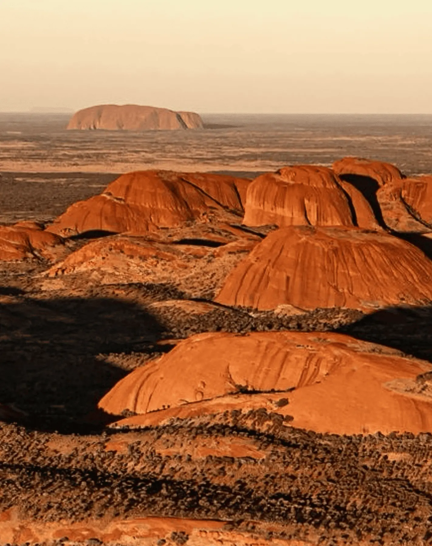 Desert Conditions Catch People Out