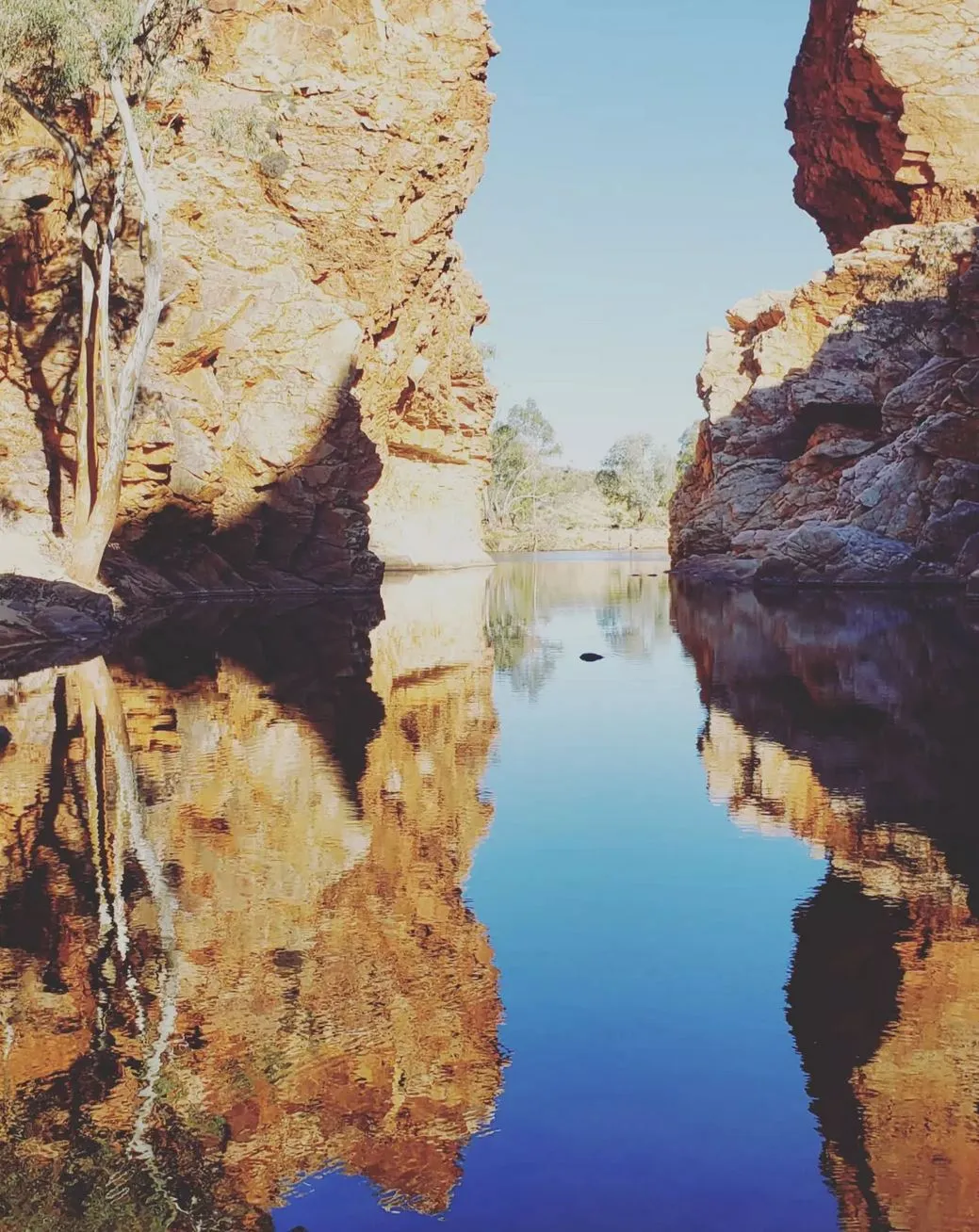 Ellery Creek North