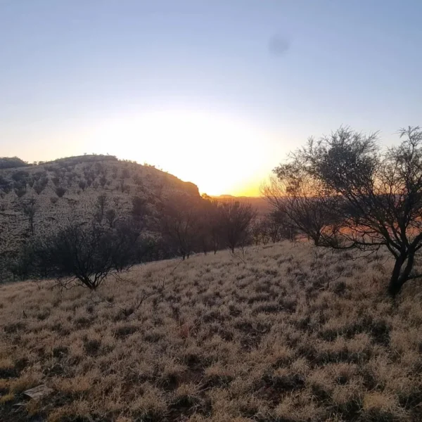 Euro Ridge, Larapinta