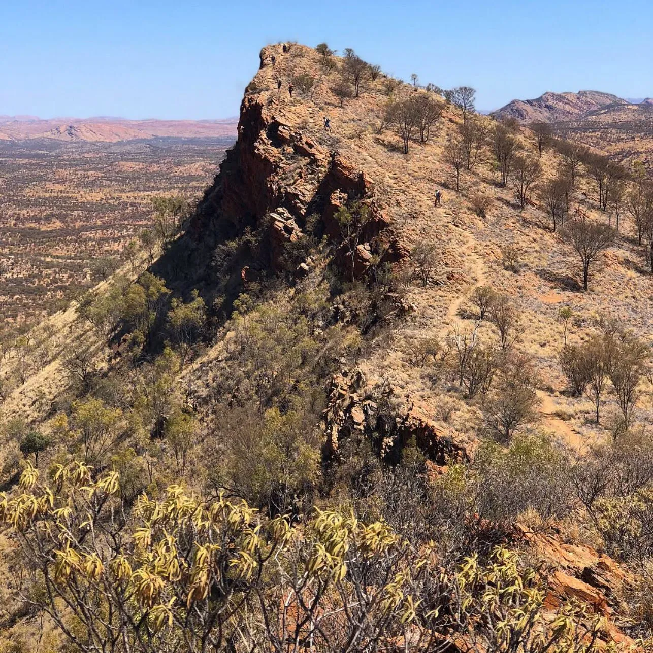 Euro Ridge Walk