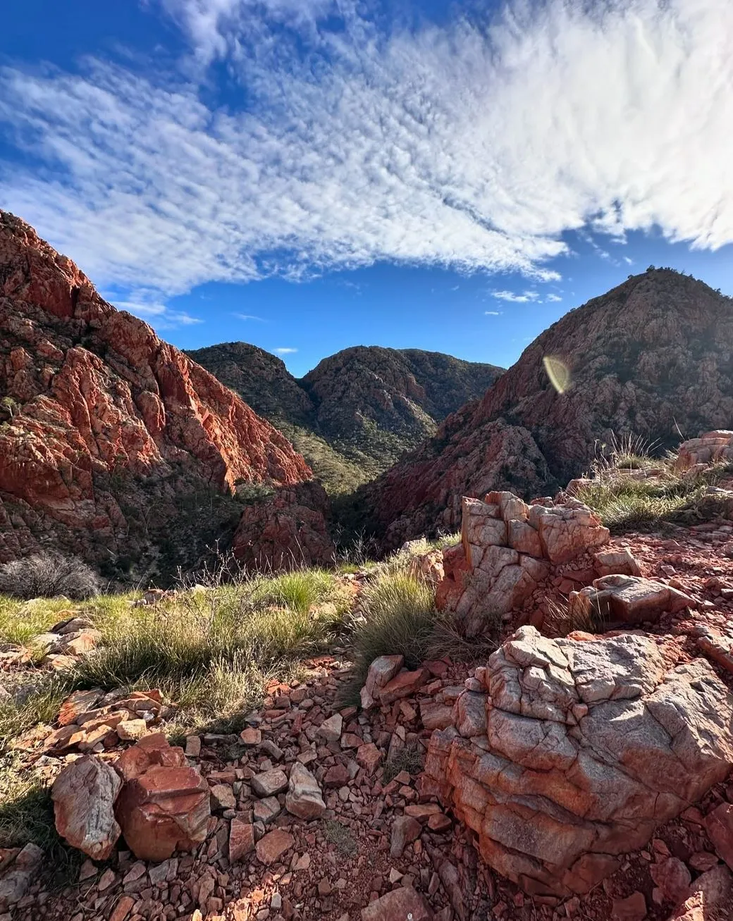 Explore the Larapinta Trail