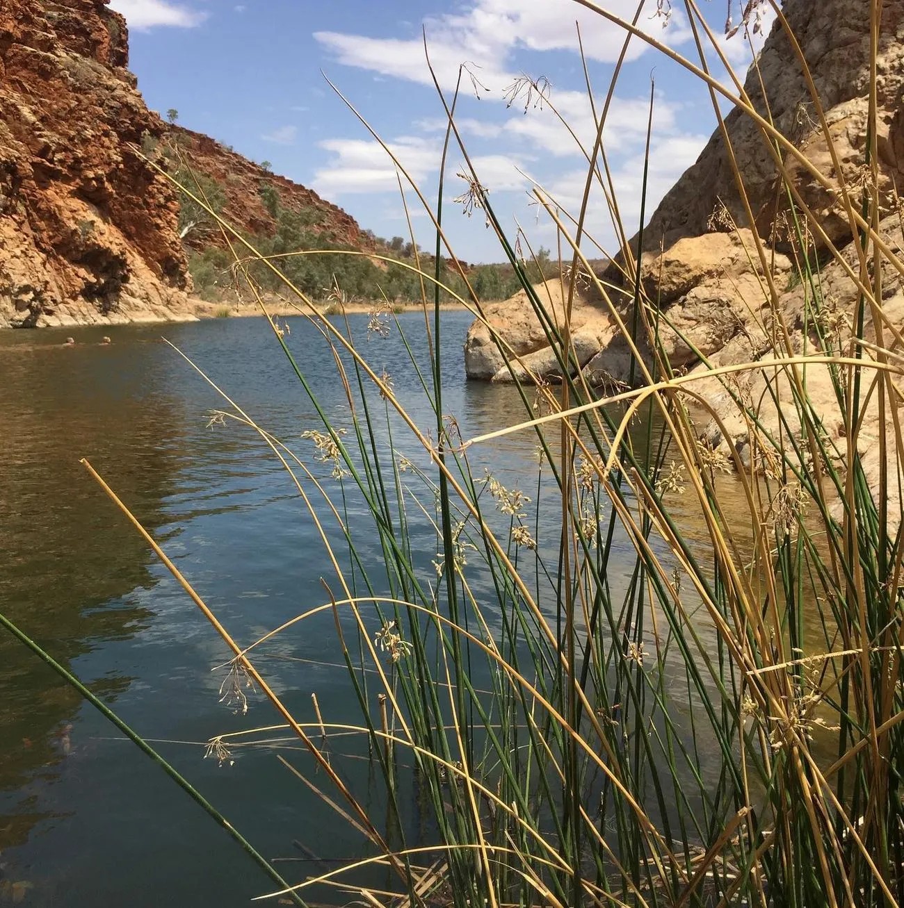 Glen Helen Gorge, West MacDonnell National Park