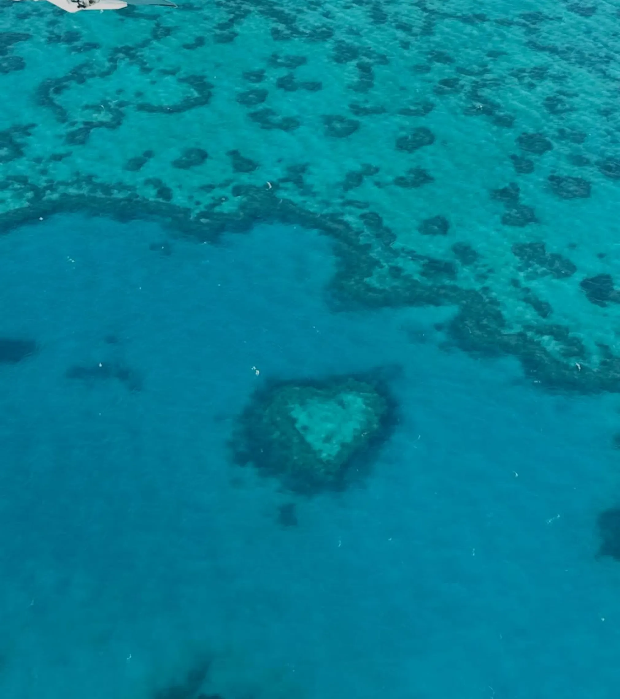Great Barrier Reef safety 2026