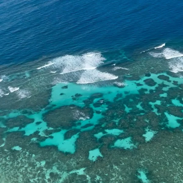 Great Barrier Reef snorkelling safety tips