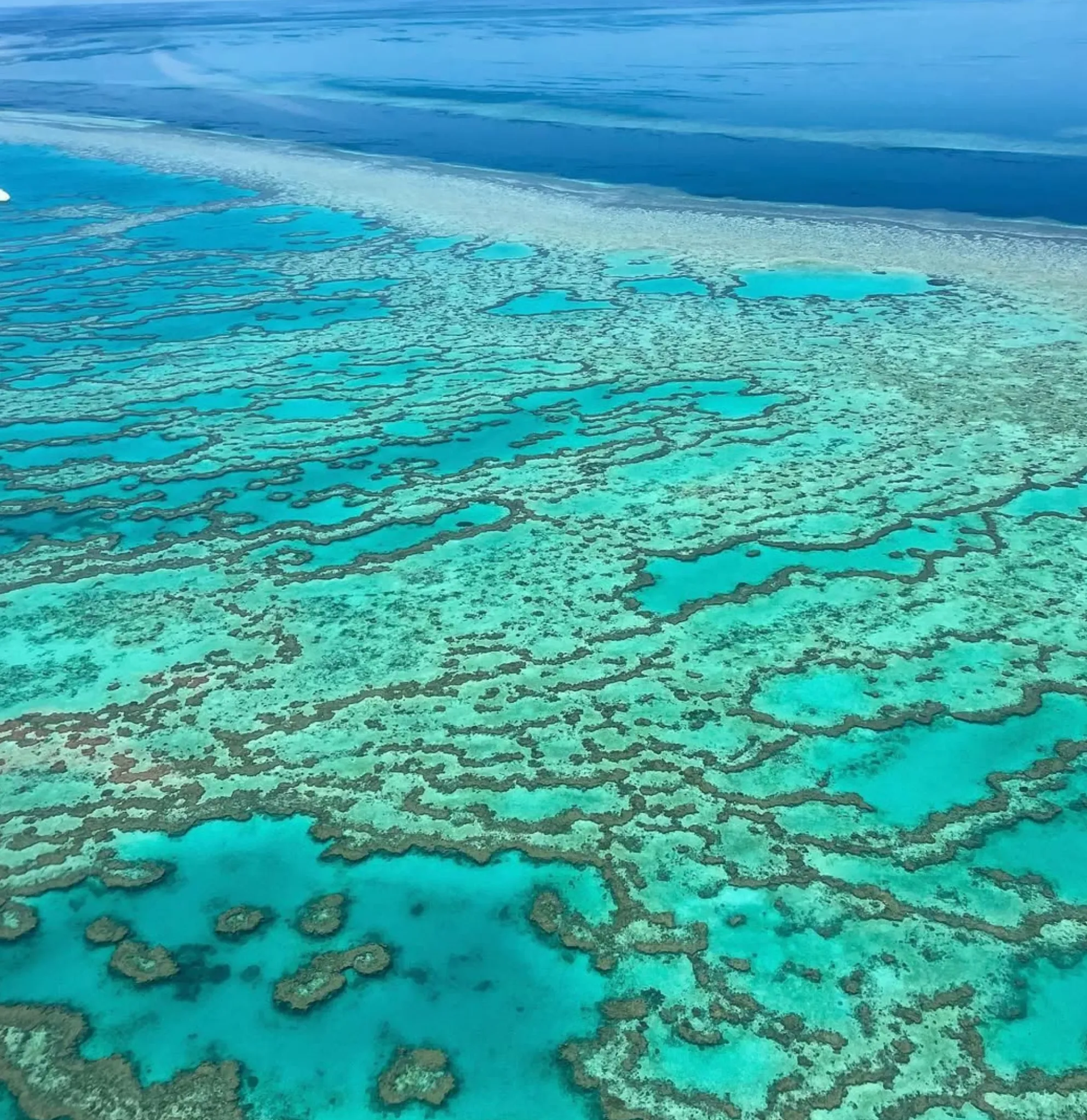 Great Barrier Reef tour cost per person