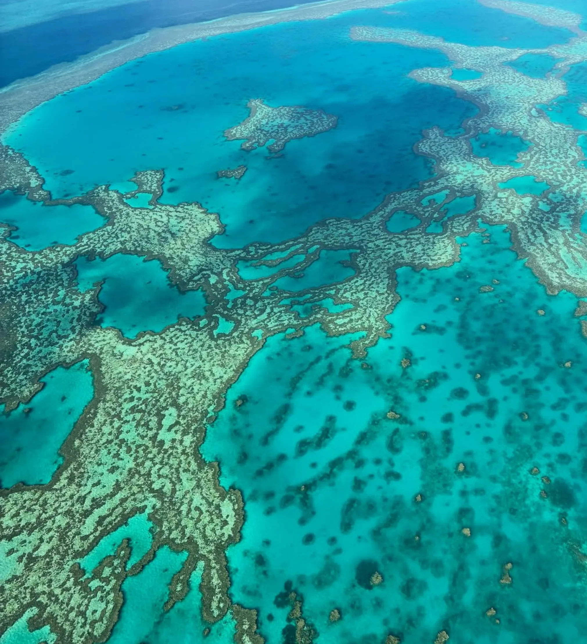 Great Barrier Reef tour inclusions and hidden costs