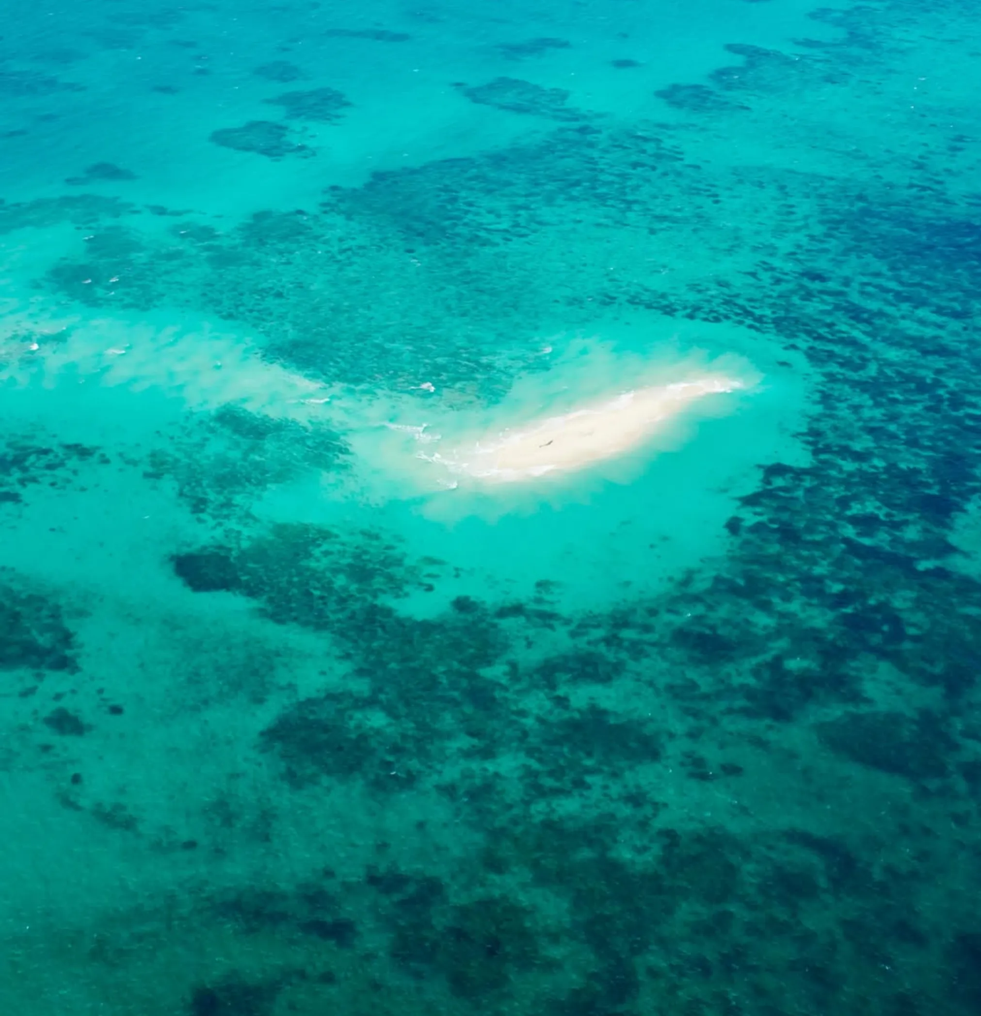 Great Barrier Reef tour optional extras cost
