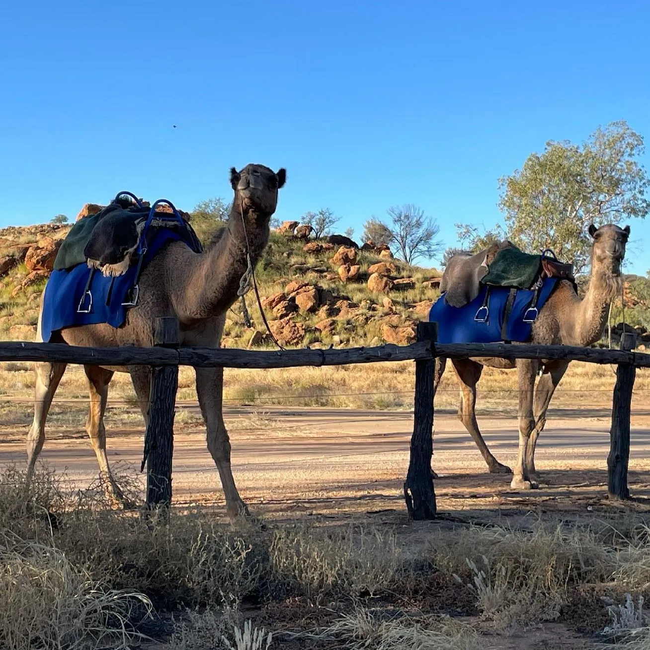 How to Get to the Trailhead