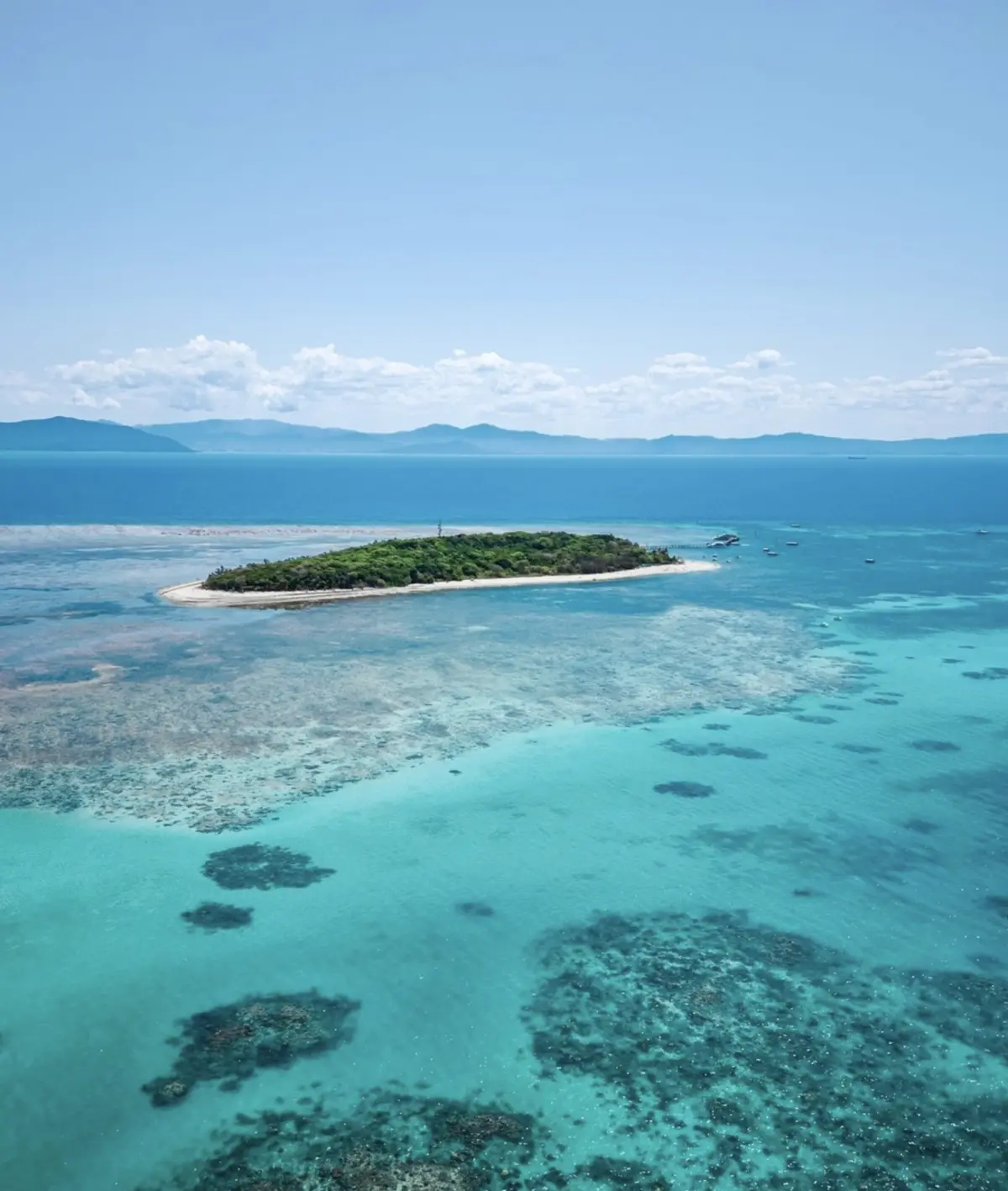 Mistakes That Reduce Reef Tour Value