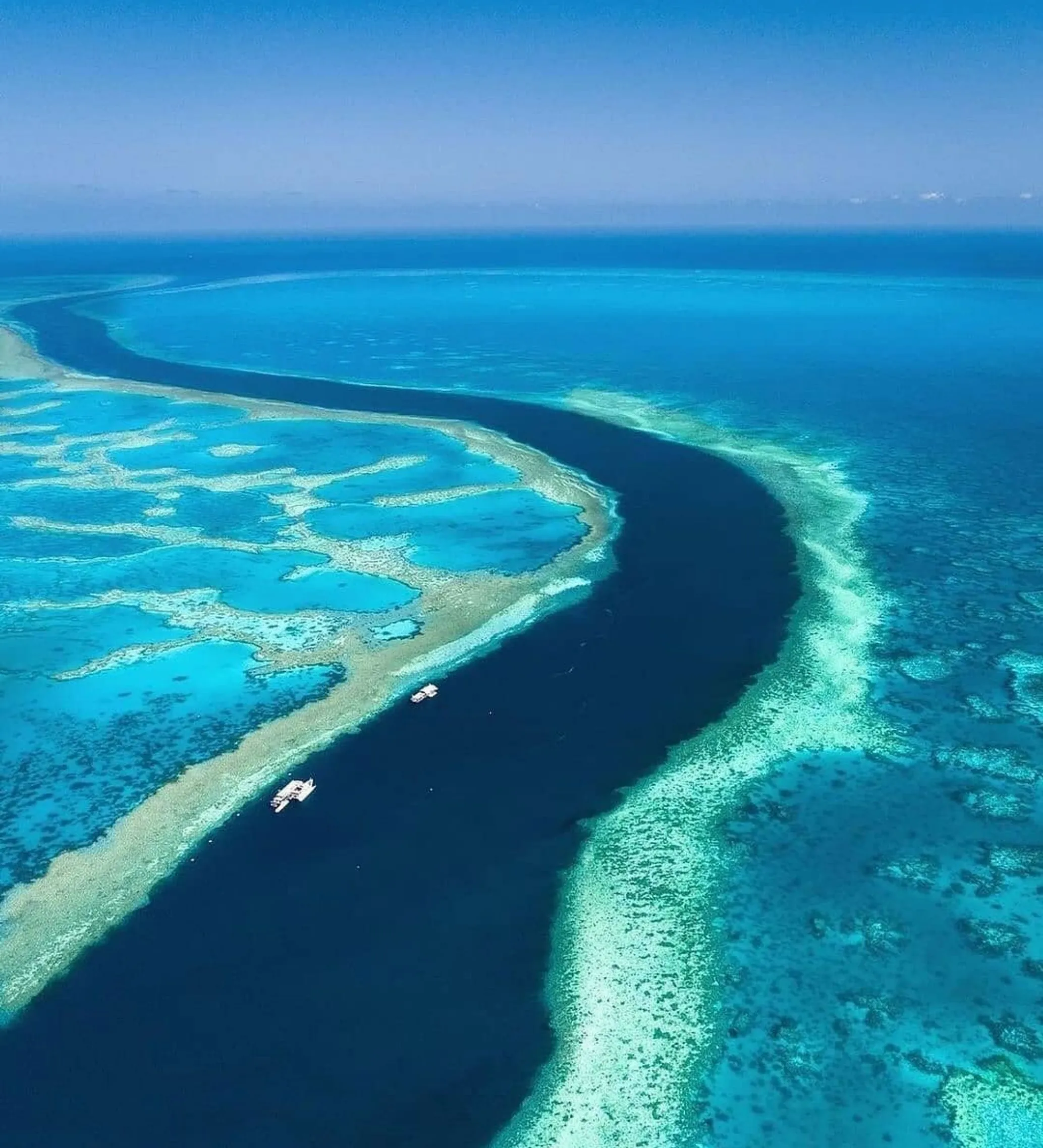 Moore Reef pontoon with kids