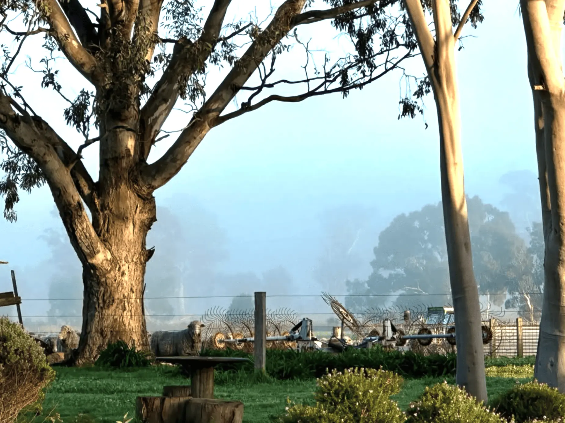 Navigating The Region When Conditions Shift