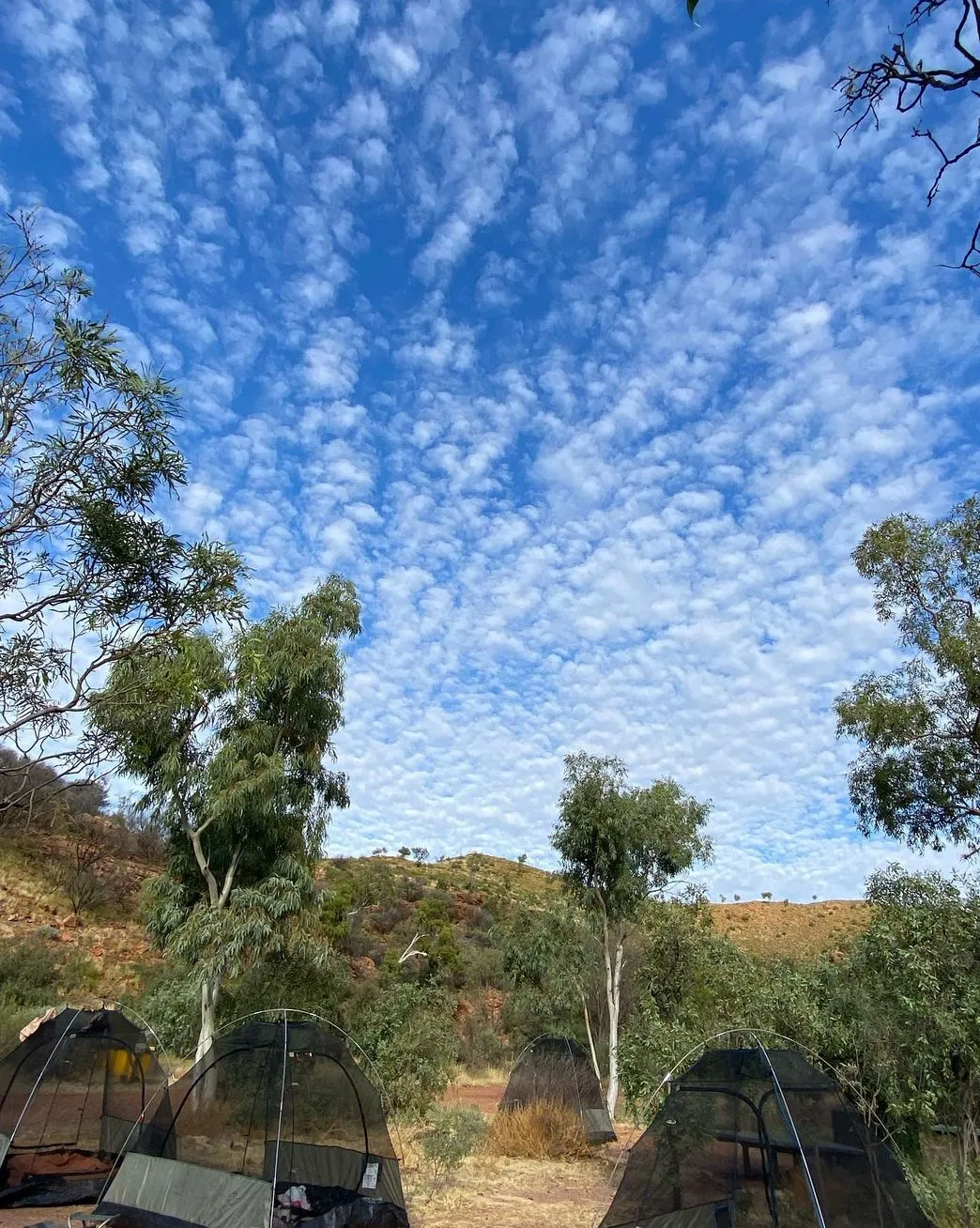 Ormiston Gorge Campground