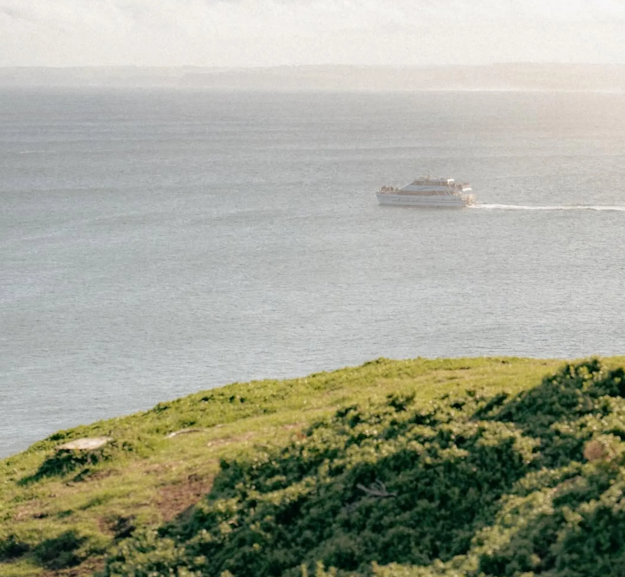 Phillip Island day trip by public transport