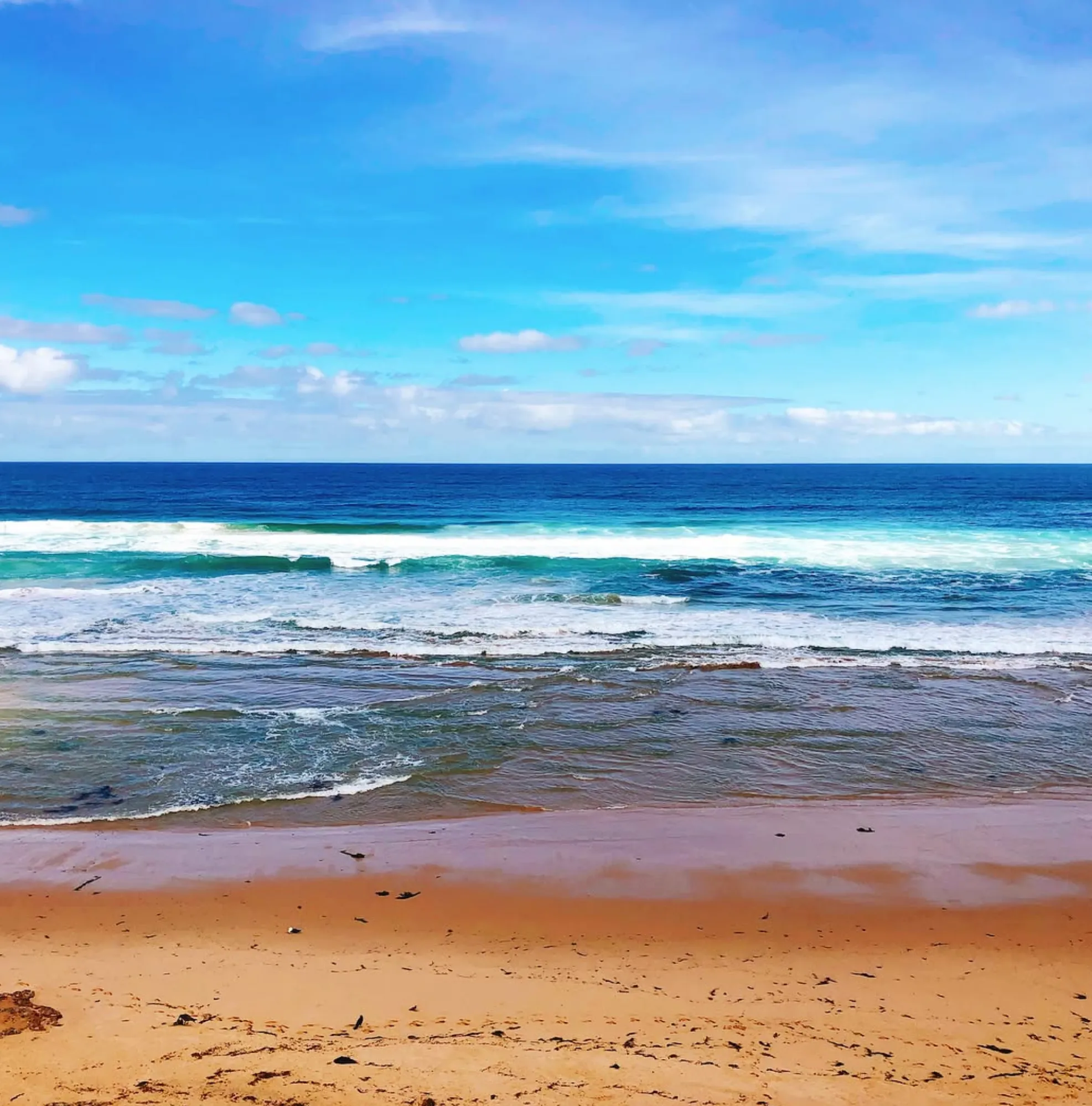 Phillip Island proposal ideas