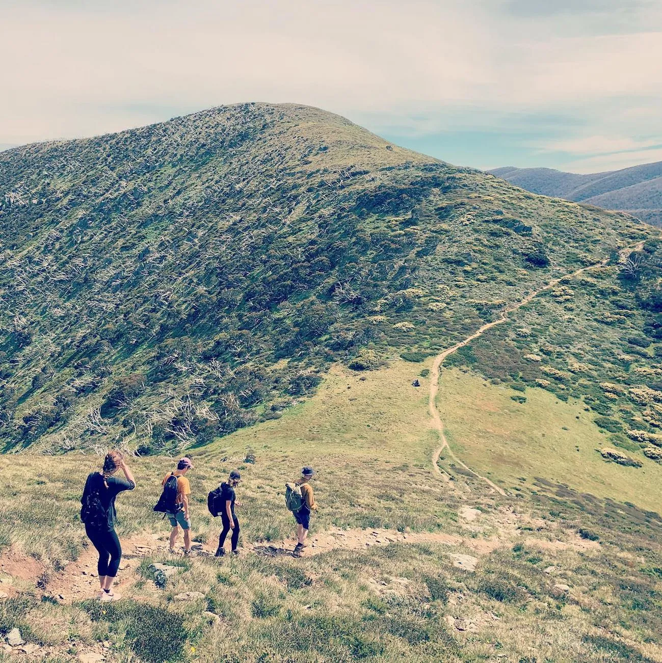Razorback Ridge