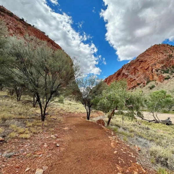 Scenic Spots Along the Larapinta Trail