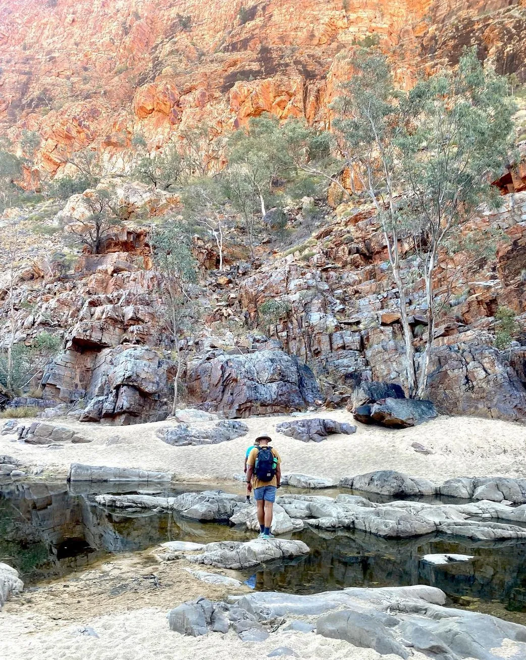 Section 10, Ormiston Gorge to Finke River