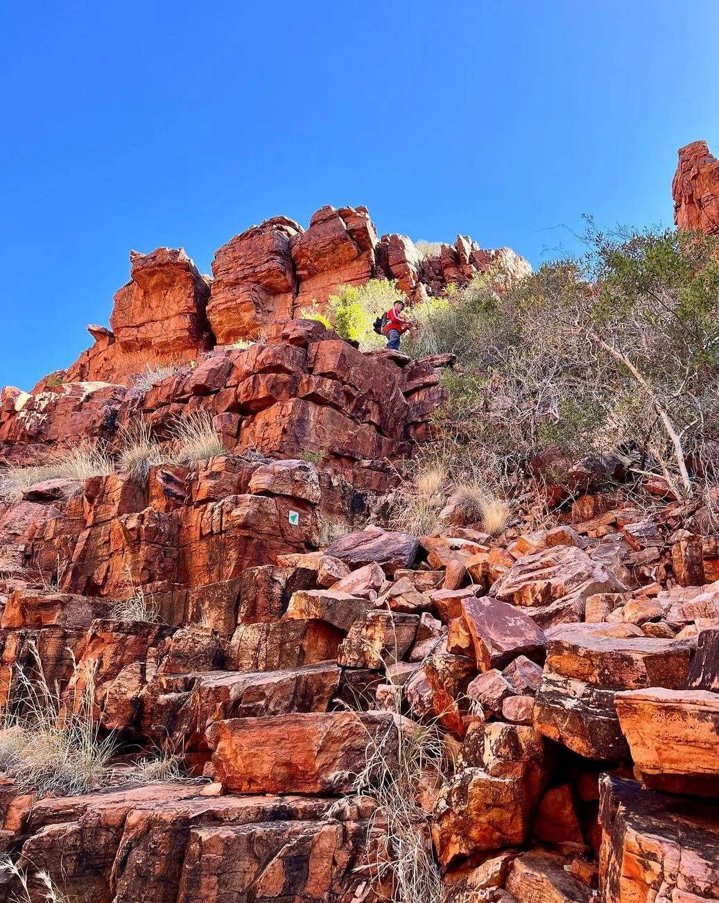 Section 8, Serpentine Gorge to Serpentine Chalet Dam