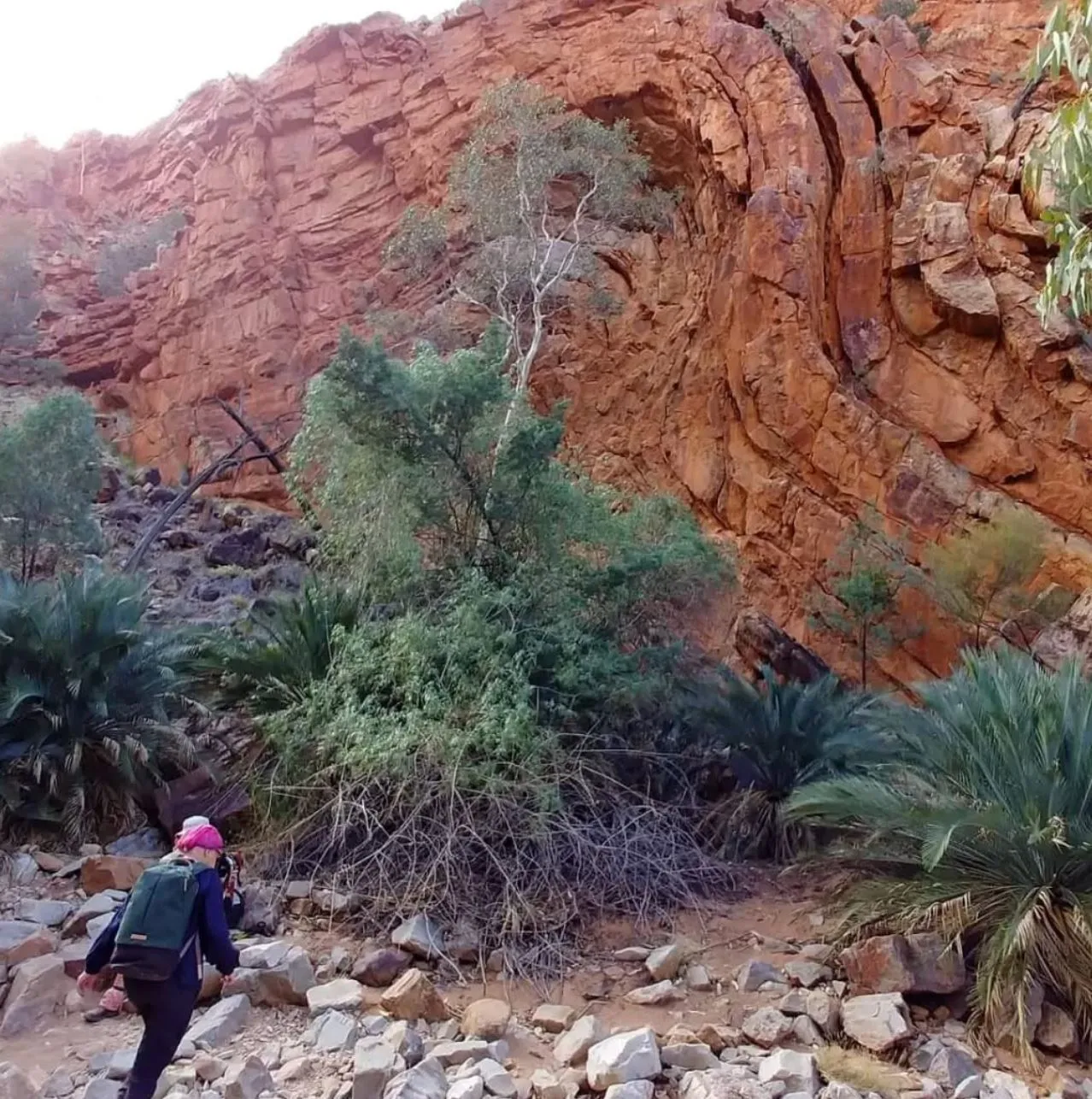 Section 9, Serpentine Chalet Dam to Ormiston Gorge