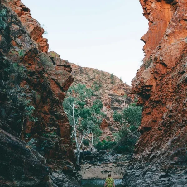 Serpentine Gorge
