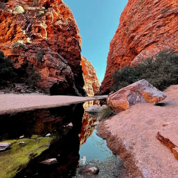 Simpson’s Gap & Larapinta Trail