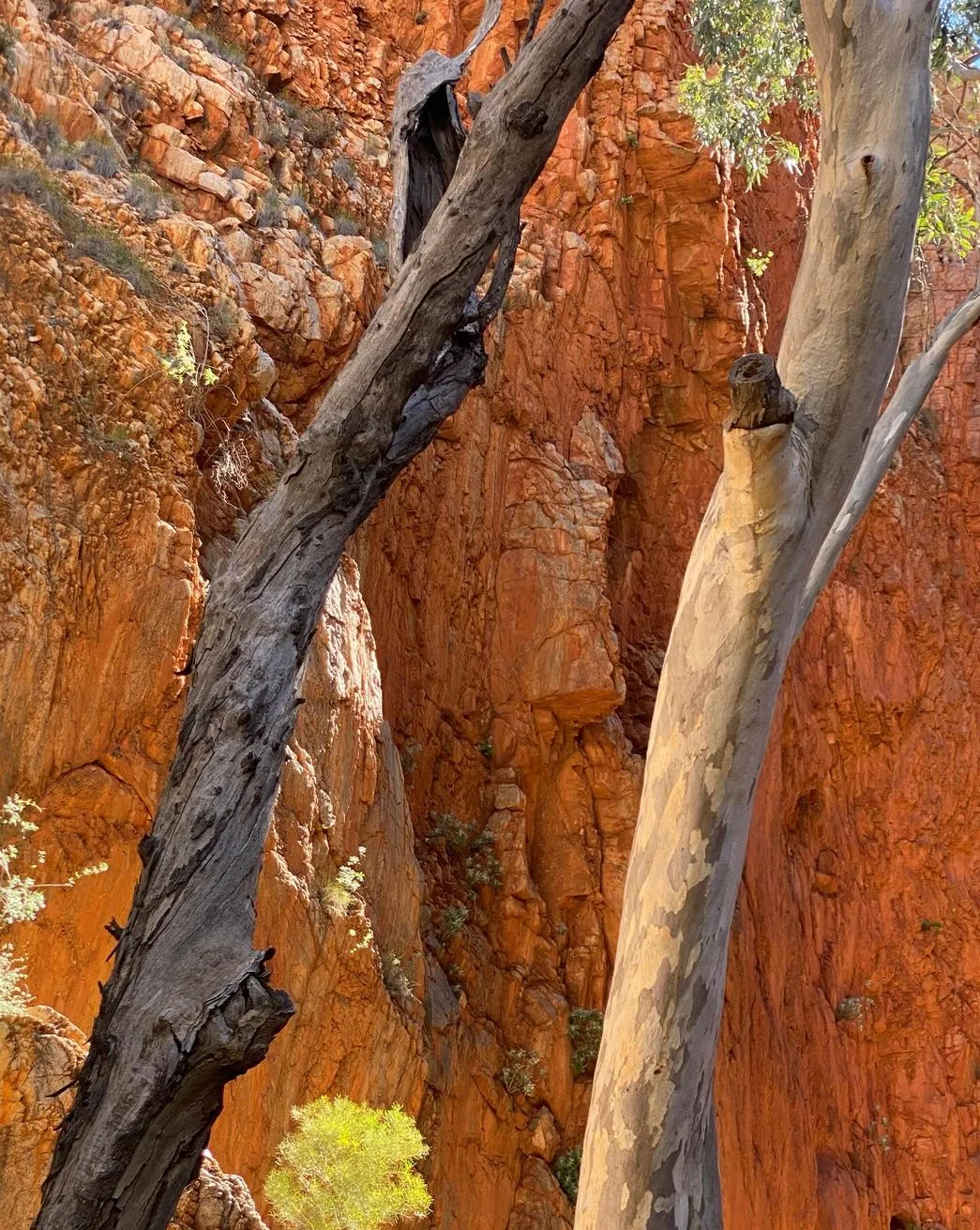 Standley Chasm