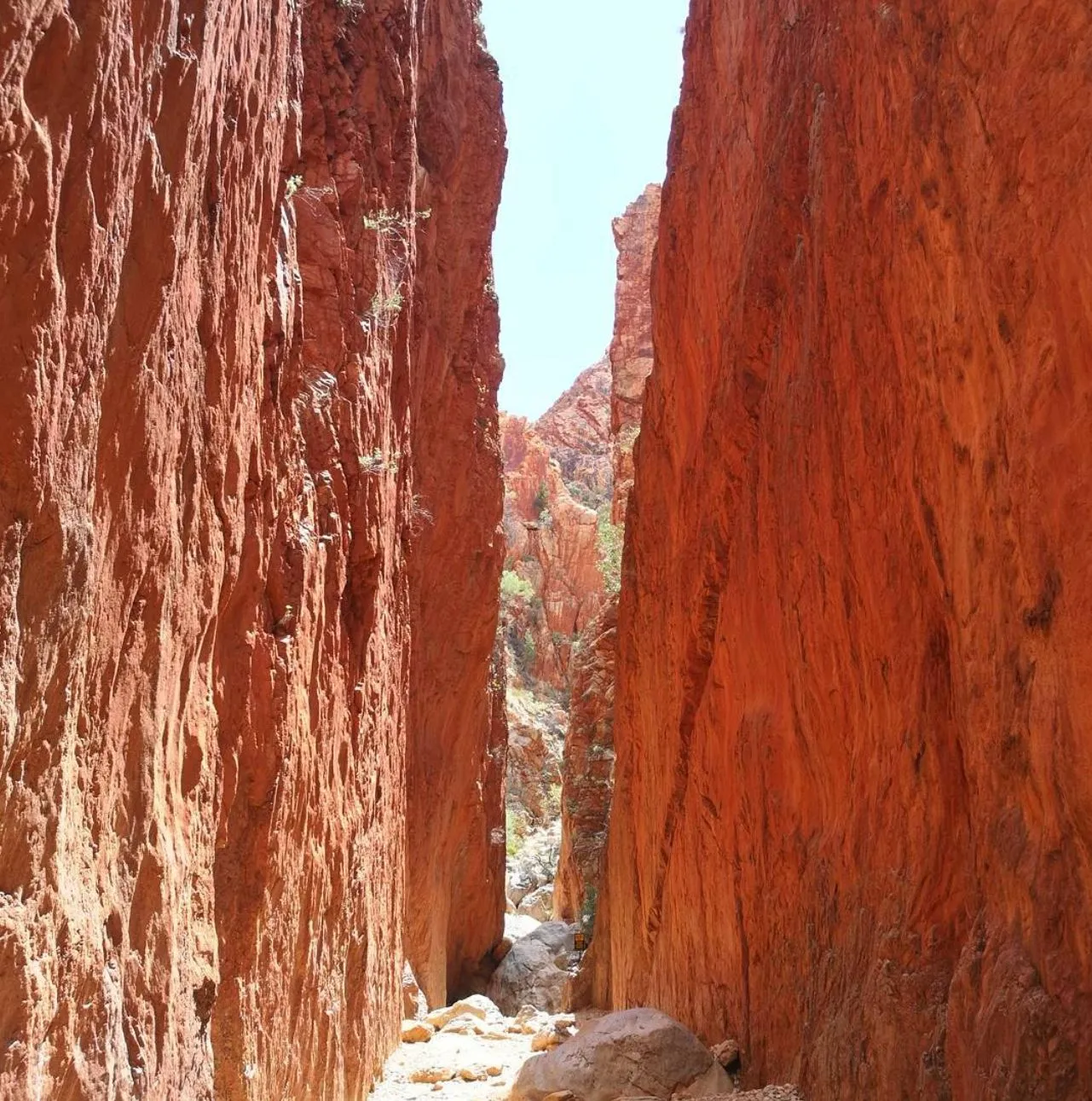 Standley Chasm Walk