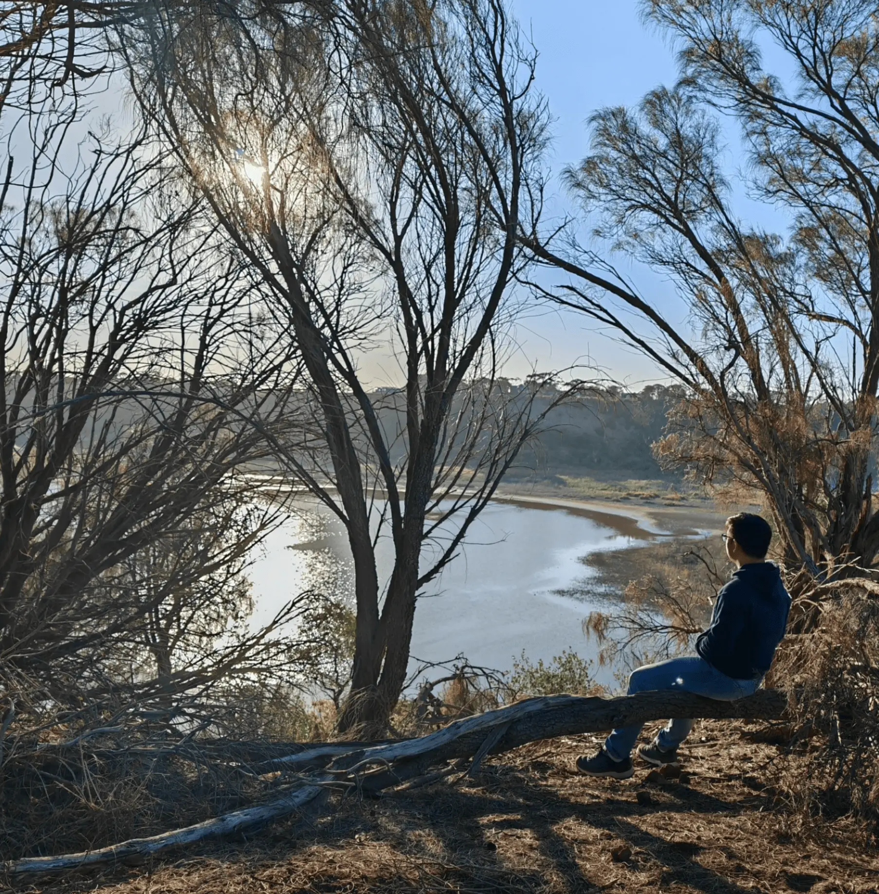 Tower Hill Wildlife Reserve – Consistent Sightings Without The Rush