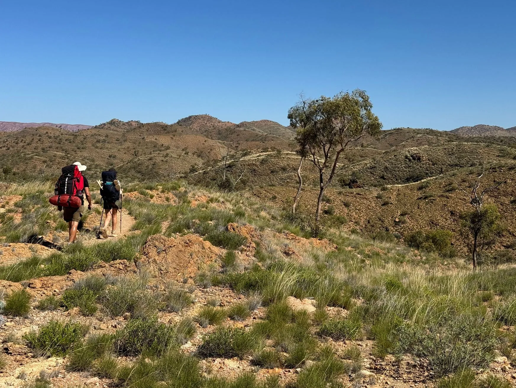 Walking Trails