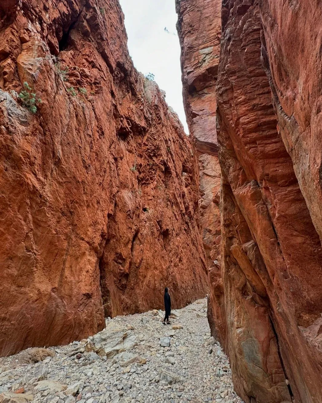 West MacDonnell Ranges