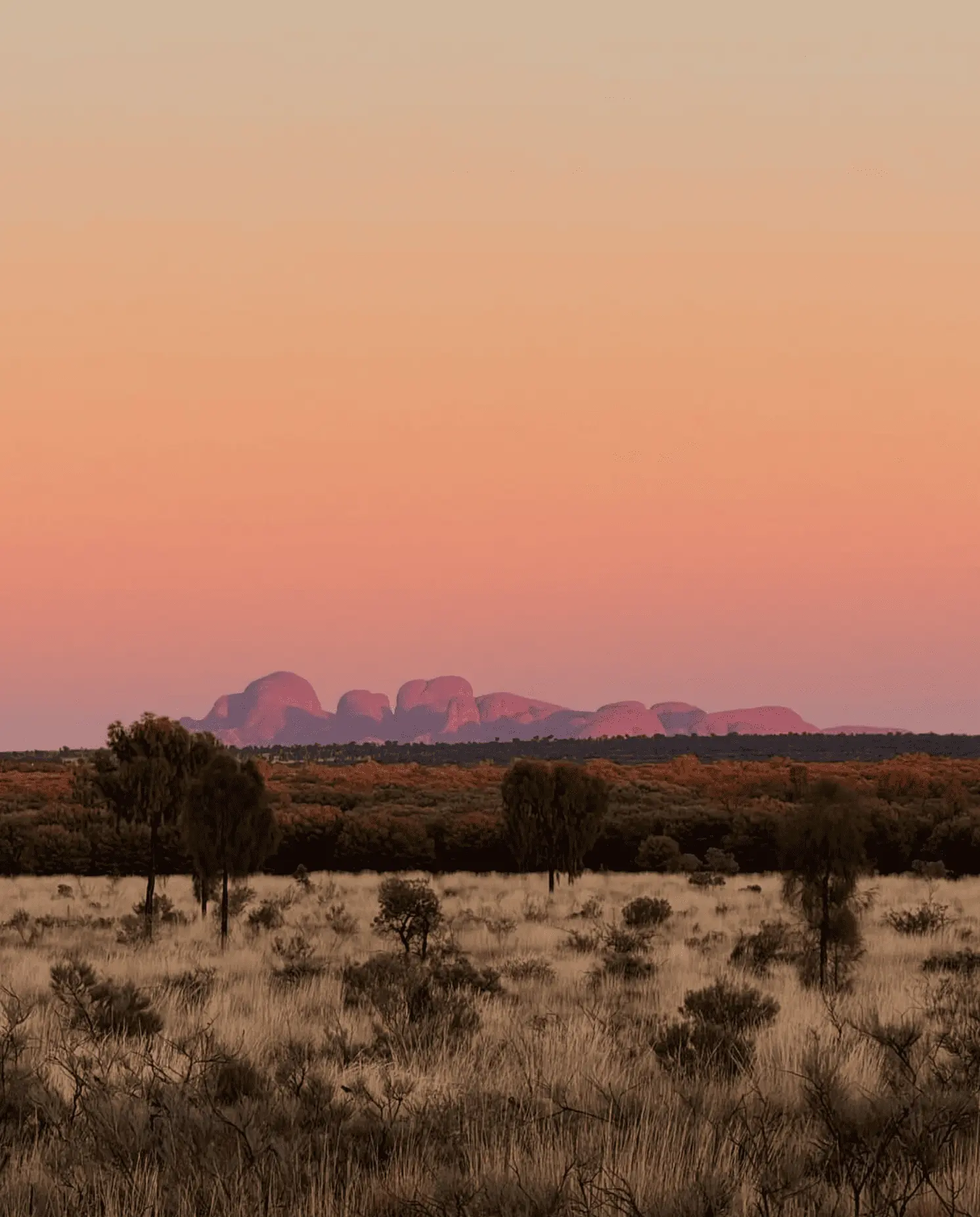 What Kata Tjuta Is Really Like