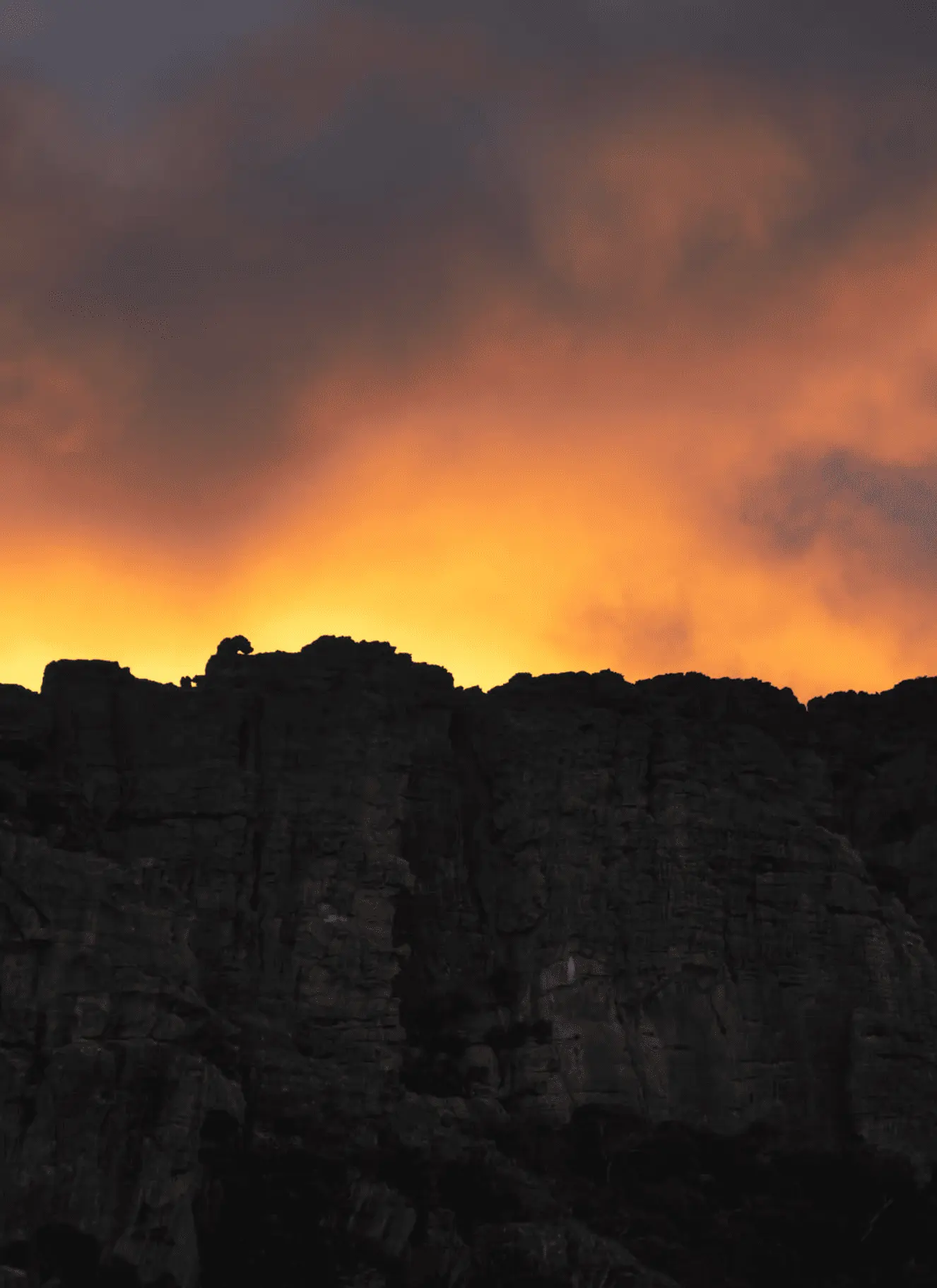 Why Fire Behaviour Matters More Than You Think