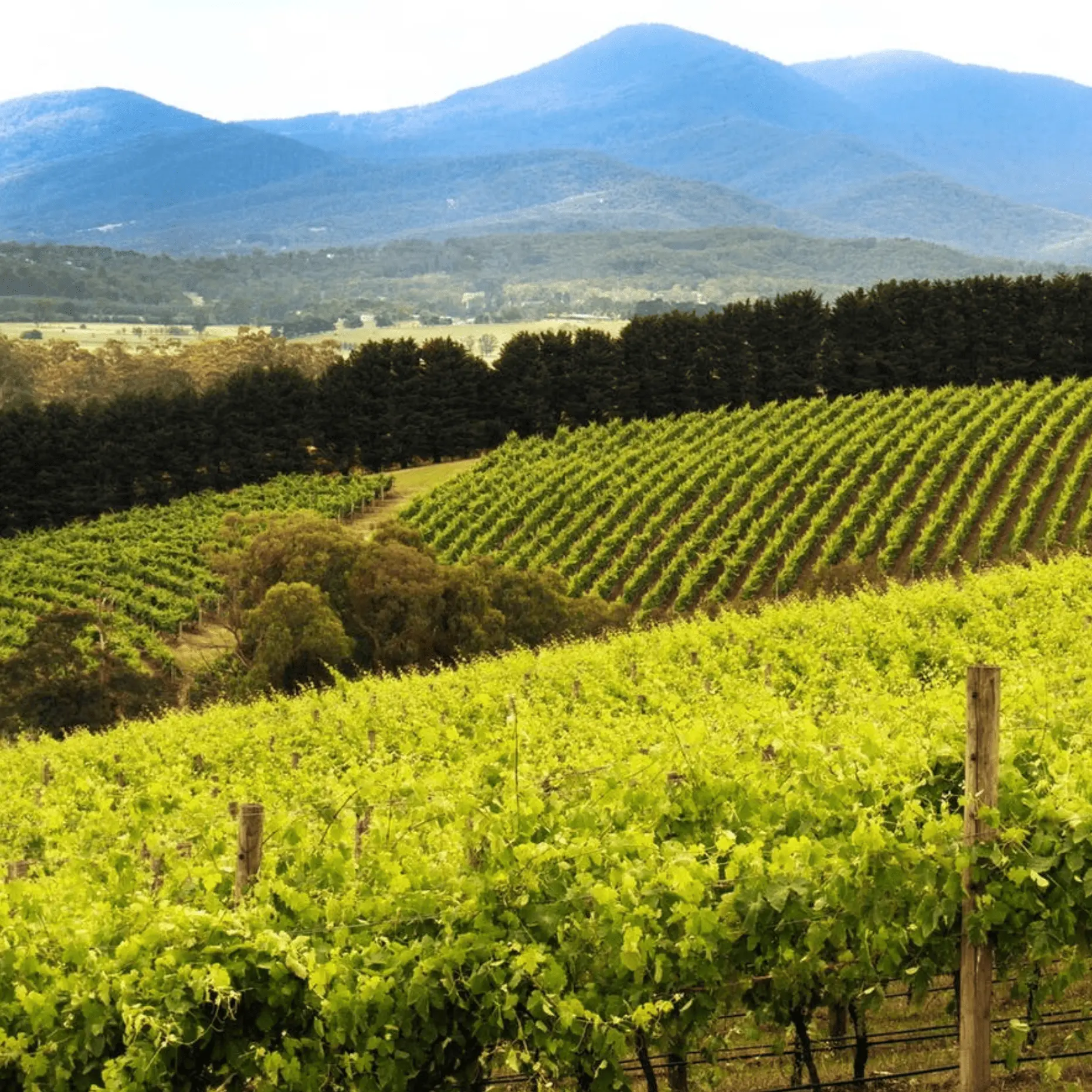 Why These Spots Often Beat The “Top 10” Lists