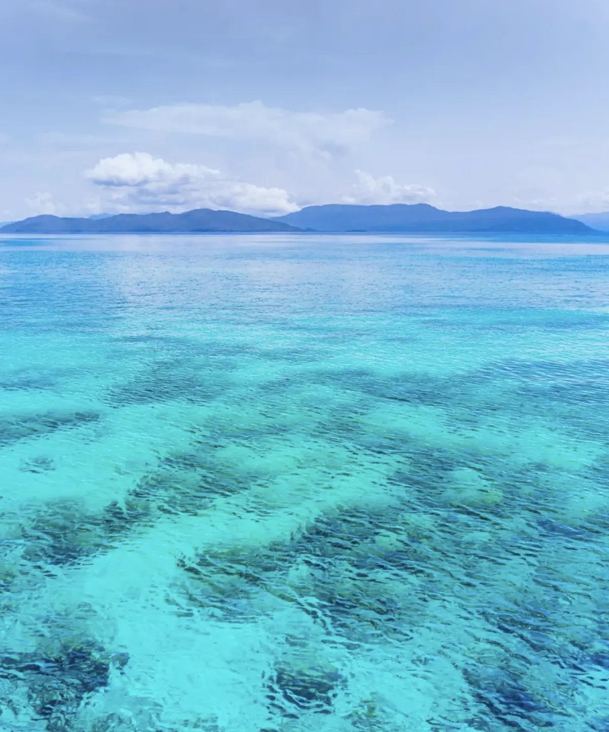 Why the Dry Season Delivers Better Reef Conditions