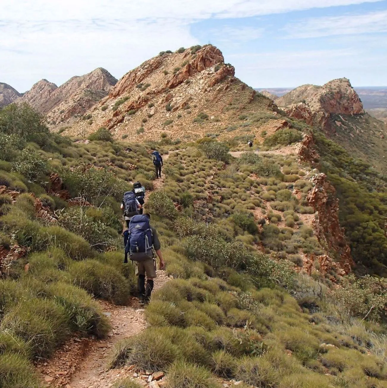 Wild Animals of the Trail